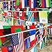 AMAPON 200 Countries Flags - 164 Feet International Flags, Decorations for World Cup & Olympics, Sports Clubs, Grand Opening