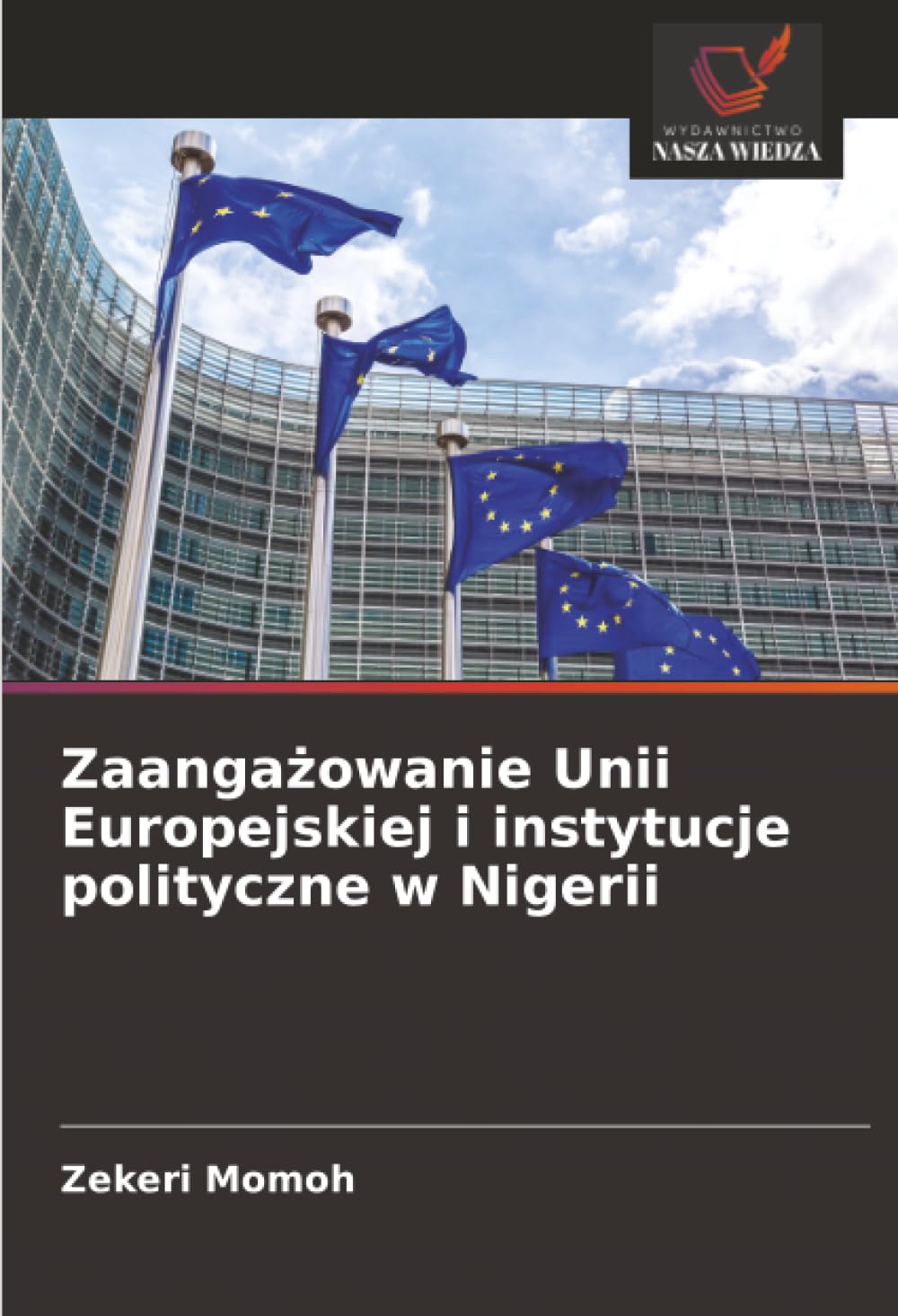 Zaangażowanie Unii Europejskiej i instytucje polityczne w Nigerii