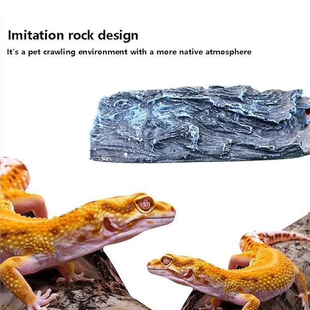 Foto 4 de 7 de Cuenco de agua para mascotas para reptiles, cuenco de comida para reptiles, cuenco de alimentación de reptiles