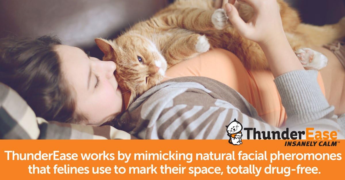 thunderease diffuser cat