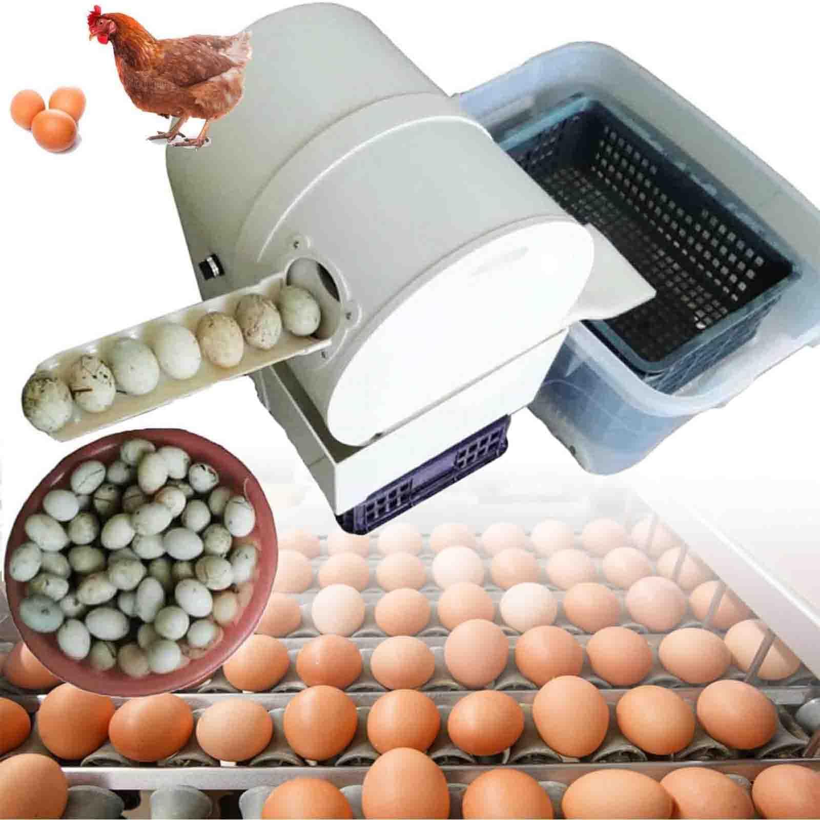 Automatische Eierwaschmaschine, vollautomatisches Eierwaschwerkzeug für 2300 Eier/Stunde, geeignet für Huhn, Ente, Gänseeier, effiziente Reinigungslösung
