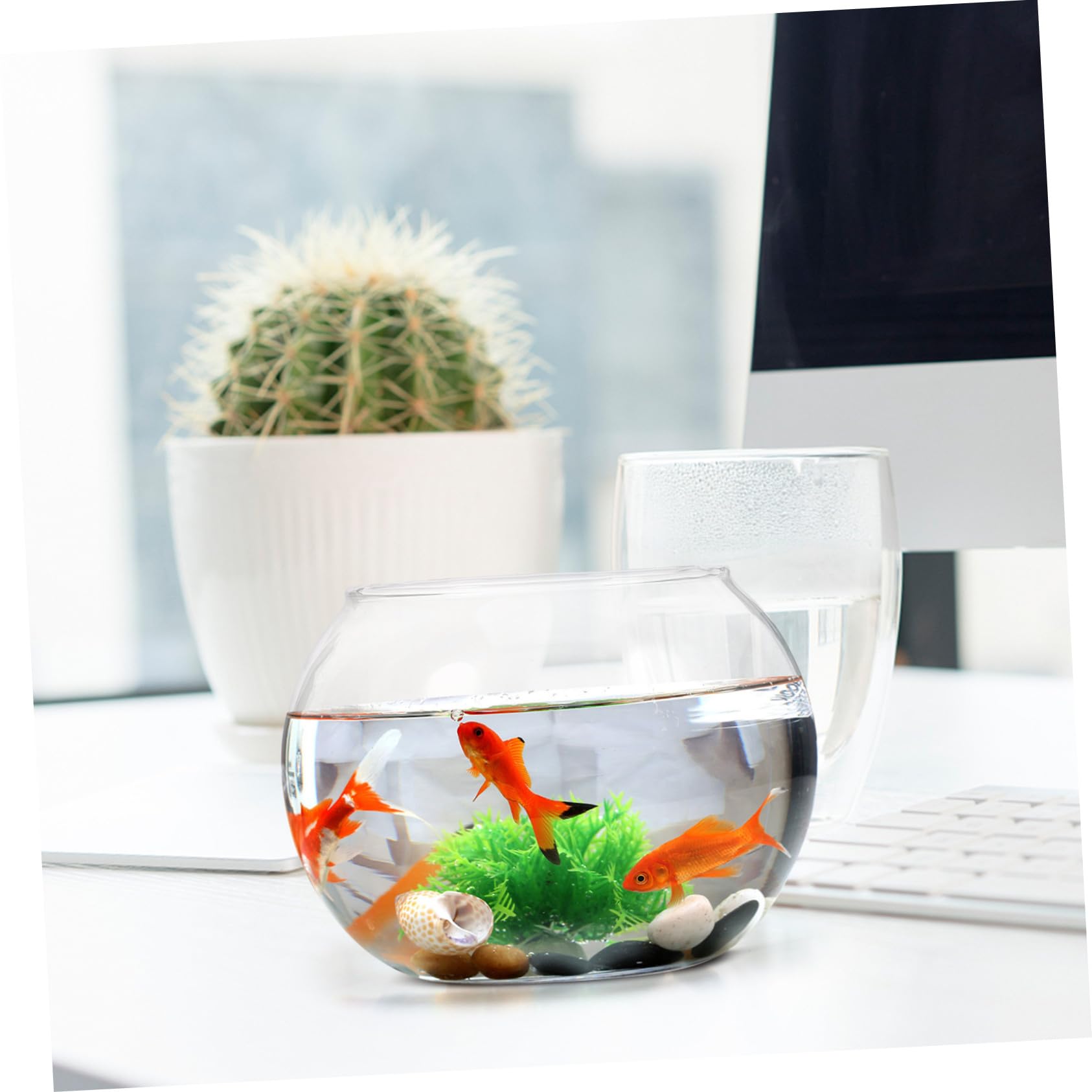 Piante Per Terrario in Kit Decorazione Stazione Propagazione Contenitore Trasparente Senza Sbavature Per Micro Paesaggi E Giardinaggio Fai Da Te