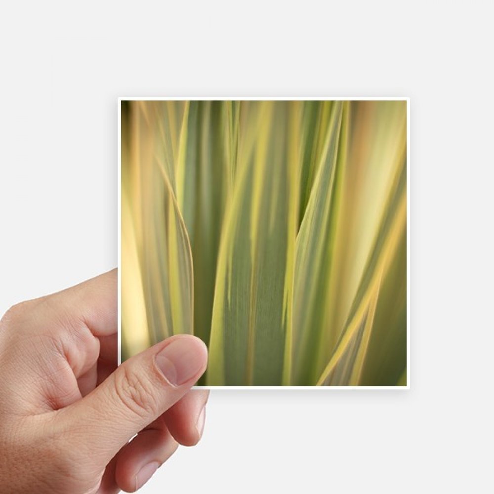 Decal 8pcs 10cm x 10cm feuilles de plantes pour personnaliser pc portable et mur