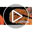 DEXDE Fall Halloween Bathroom Rugs Runner Pumpkins Long Bath Mat for Autumn Harvest Thanksgiving Home Decor, Soft Non-Slip Carpet for Hallway Bedroom Bathroom Kitchen Entryway, Orange Yellow 20x60 - Image 4