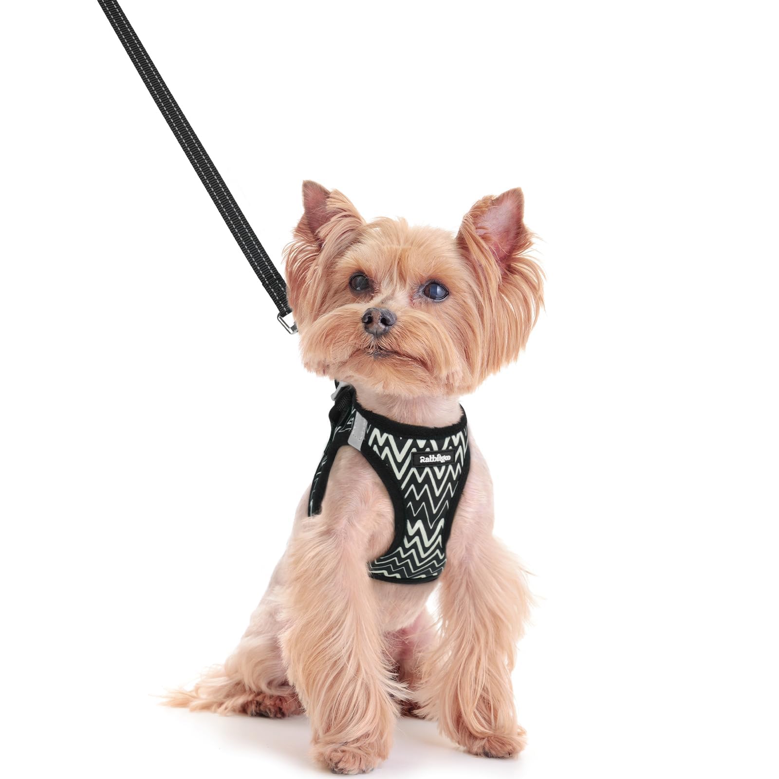 rabbitgoo Dog Harness Small Dog and Leash Set, Step-in Soft Mesh Puppy Harness with Reflective Strips, Lightweight Breathable Pet Vest for Walking Training, Black Zigzag, XXS