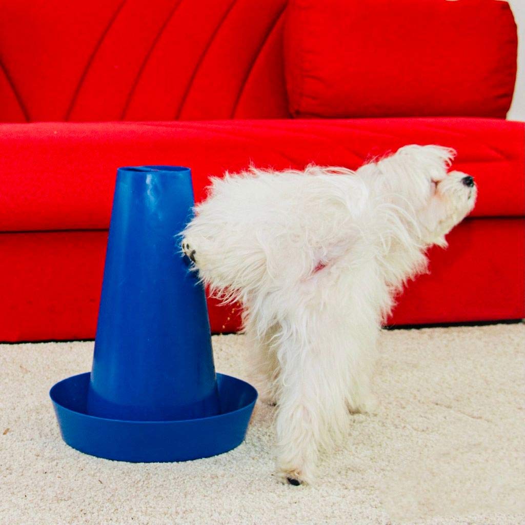 PIPPi WC pour Chiens Mâles – Urinoir pour Chiens d’Intérieur et d’Extérieur – Colonne Urinaire Lavable – Alternative aux Tapis Éducateurs – Lot de 1 – Bleu
