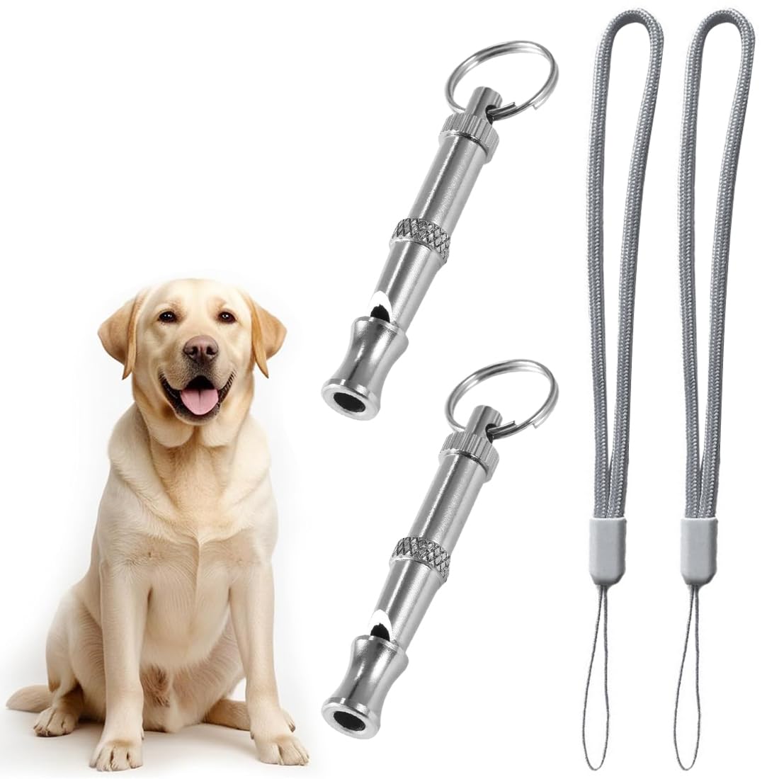 2 Pcs Sifflet pour Chien avec lanière, Sifflet pour Compagnie en Acier Inoxydable à fréquence réglable, Sifflet à ultrasons Professionnel pour l'entraînement et Le contrôle des aboiements