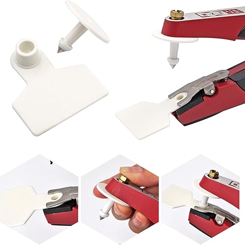 Miniatura 6 de Etiquetas de oído en blanco, 100 unidades de etiquetas de oído en blanco de identificación de ganado para ganado, vaca, cerdo, cabra, oveja, perro