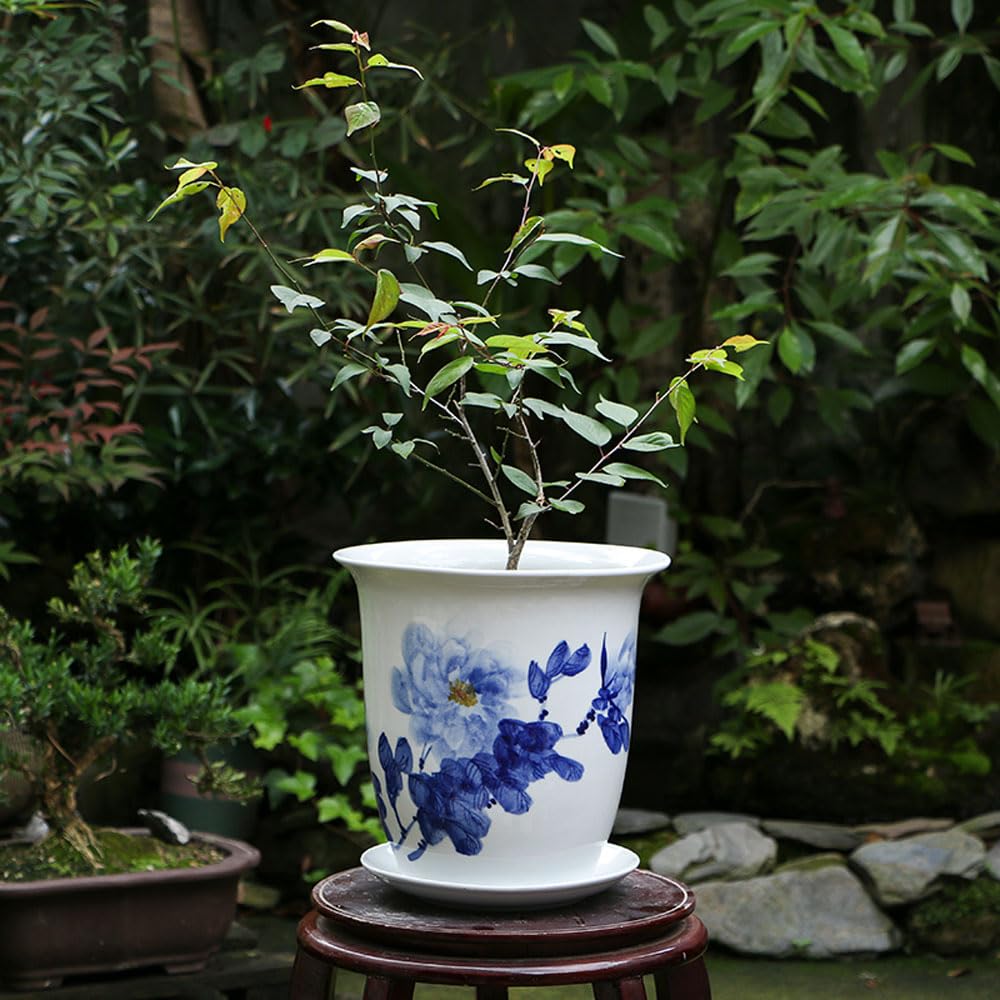 asdchZen Modern Blue And White Porcelain Flowerpot With Drainage Holes And Saucers Ceramic Planters For Indoor Plants House Plants And Garden Stylish Plant Container