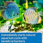 API Quick Start Nitrifying Bacteria, for Freshwater and Saltwater Aquarium 4-Ounce Bottle