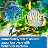 API QUICK START Freshwater and Saltwater Aquarium Nitrifying Bacteria 16-Ounce Bottle #4