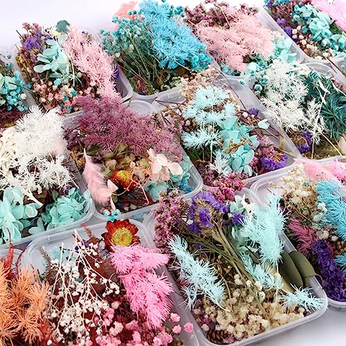 Flores Secas para Aromaterapia y Manualidades 1 Caja miniatura 6
