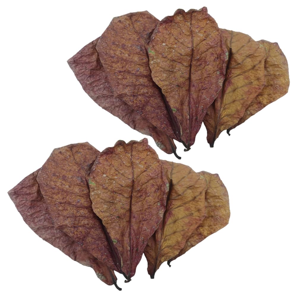 10 Pack Indian Almond Leaves for Betta Fish & Shrimp,betta fish accessories