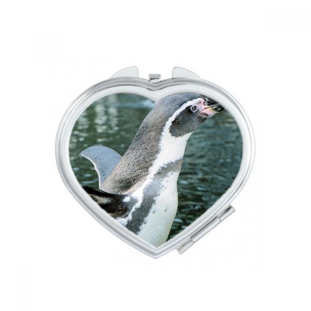 Miroir de poche mignon motif pingouin, petit cadeau pour femme