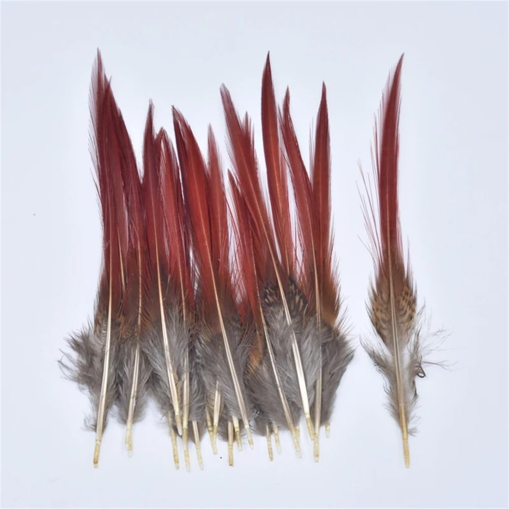Naturalne pióra bażanta, Craft Pióra z ogona bażanta Multikolor 5-25cm 10-200 szt(10 Piece)