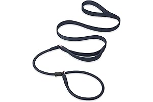 Slip Lead Dog Leash: Premium Training Leash with Comfort Grip