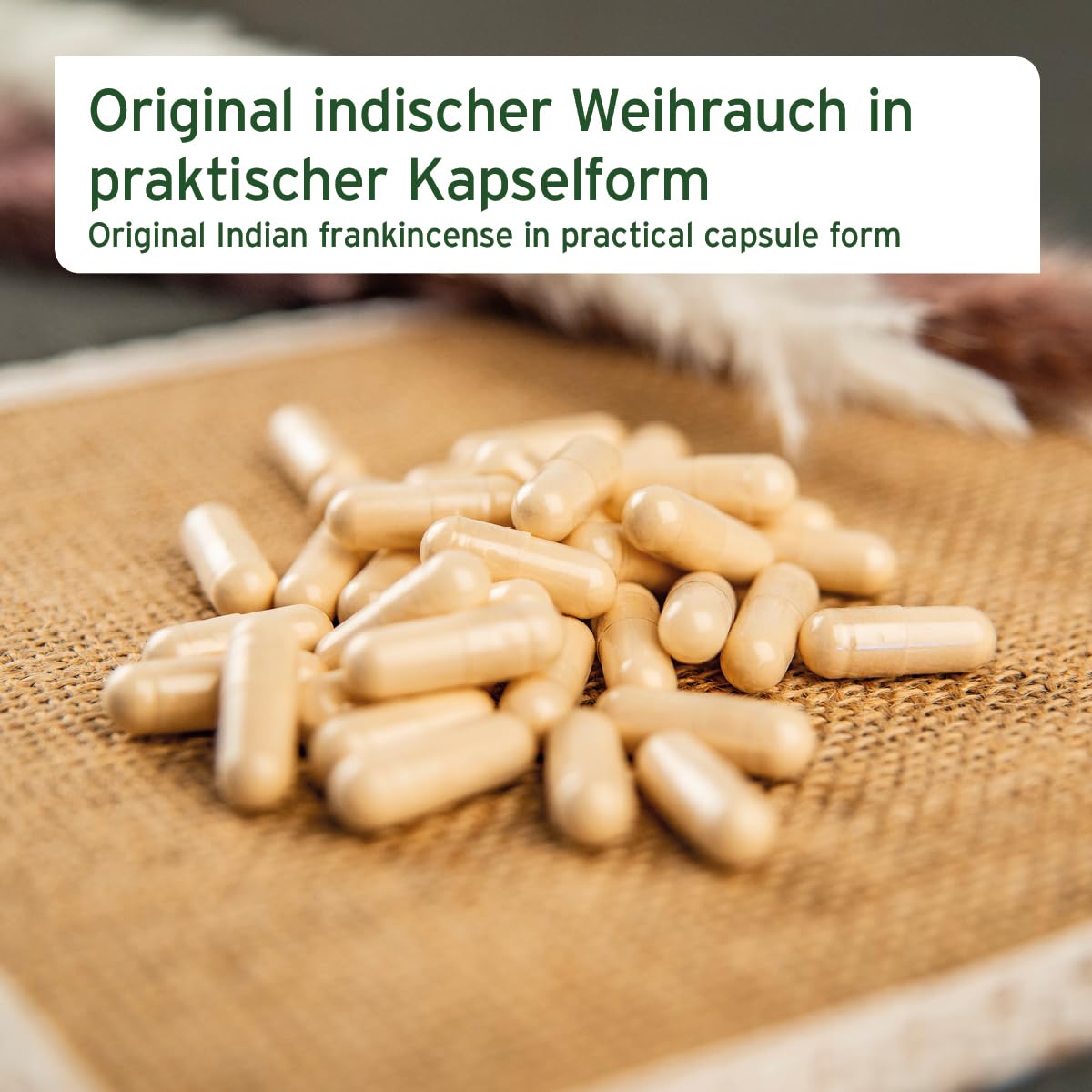 AniForte Weihrauchkapseln für Hunde 100 Stück - Natürliche Gelenktabletten mit Boswelliasäure, Unterstützung der Gelenke & Gelenkfunktion, Weihrauch Tabletten für Hundegelenke