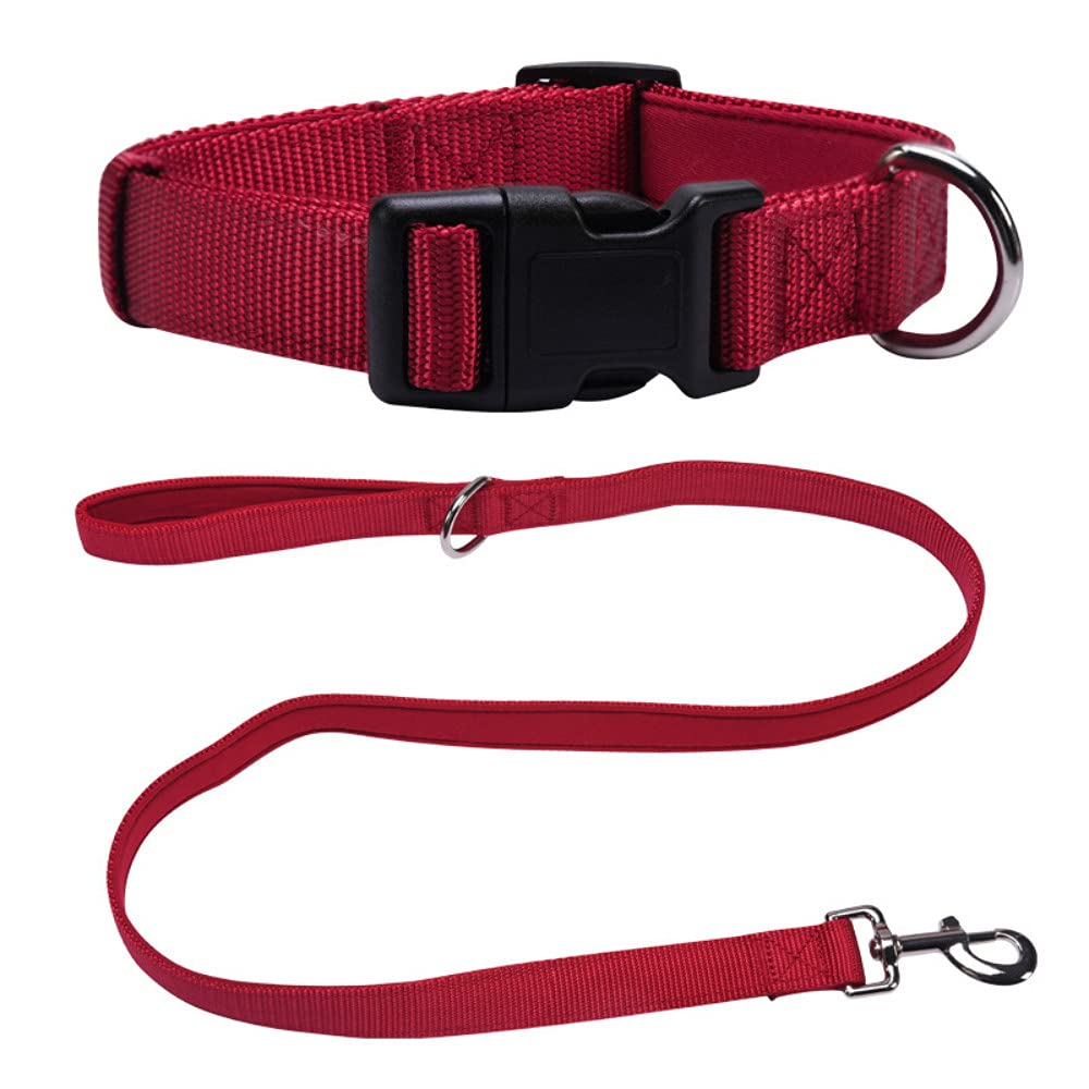 Hundehalsband und Leine, Set, Schnellverschluss, Nylonhalsband mit  passender Leine fr kleine, mittelgroe und groe Hunde, verstellbare und  atmungsaktive Welpenleine und Halsband, Set, rot : Amazon.de: Haustier