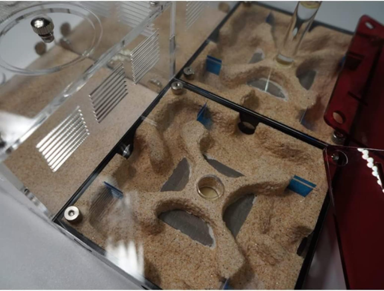 Ant Formicarium Akrylowe Gniazdo Mrówek DIY Gniazdo Betonowe Gniazdo Mrówek Dom Wiejski Warsztat Wiwarium Mrówek Edukacja Nauka Gniazdo Mrowiska