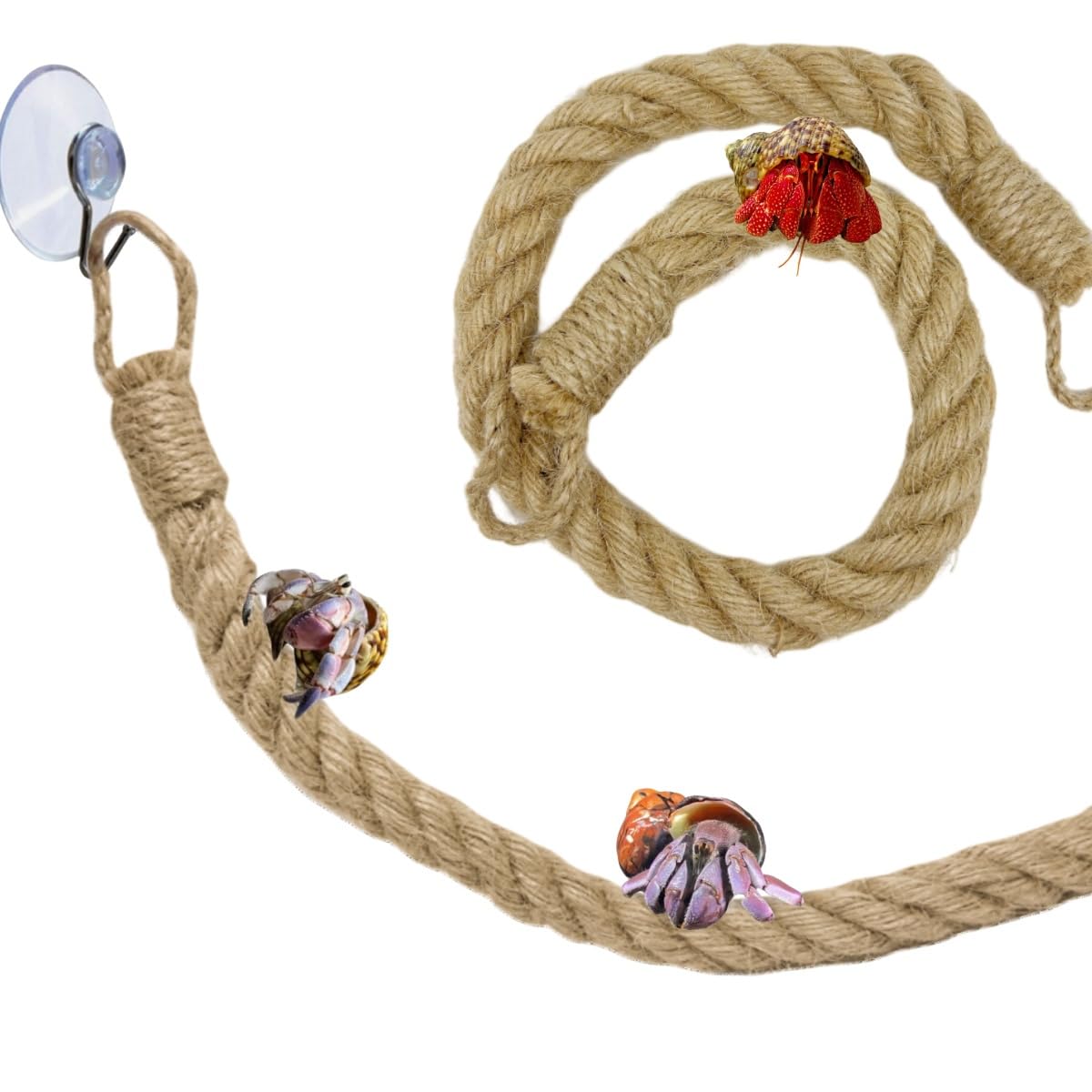 1 Pack 22 Inch Hermit Crab Climb Ladder Rope Toys With Hook Suction Cups, Sturdy Jute Rope Climbing Vine Toy Ladder Habitat Decor for Tree Frog Lizards Geckos Snakes Spiders Tarantula Leopards