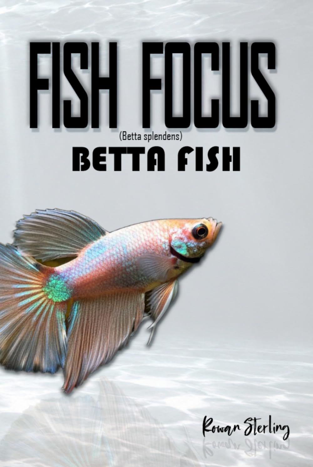 Fish Focus: Betta Fish: Behaviour, Care, and Natural Habitat Guide