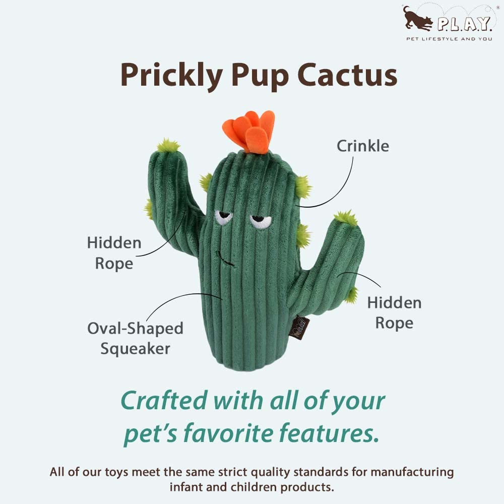 P.L.A.Y PLAY Blooming Buddies Collection Prickly Pup Cactus Dog Toy, More Colorful - Image 2