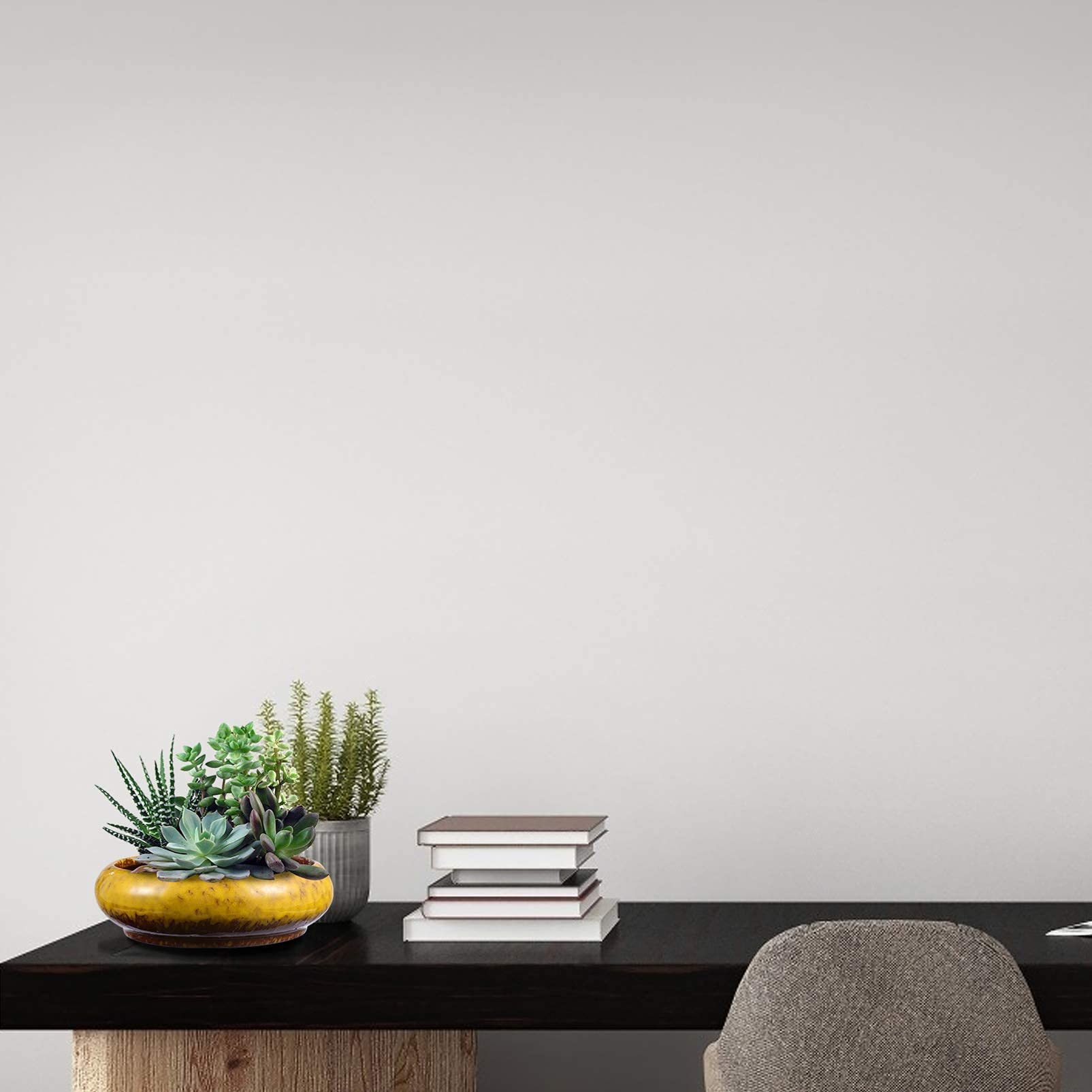 Fioriera Rettangolare In Ceramica Bianco Opaco 14 Pollici – Per Succulente, Con Foro Di Drenaggio