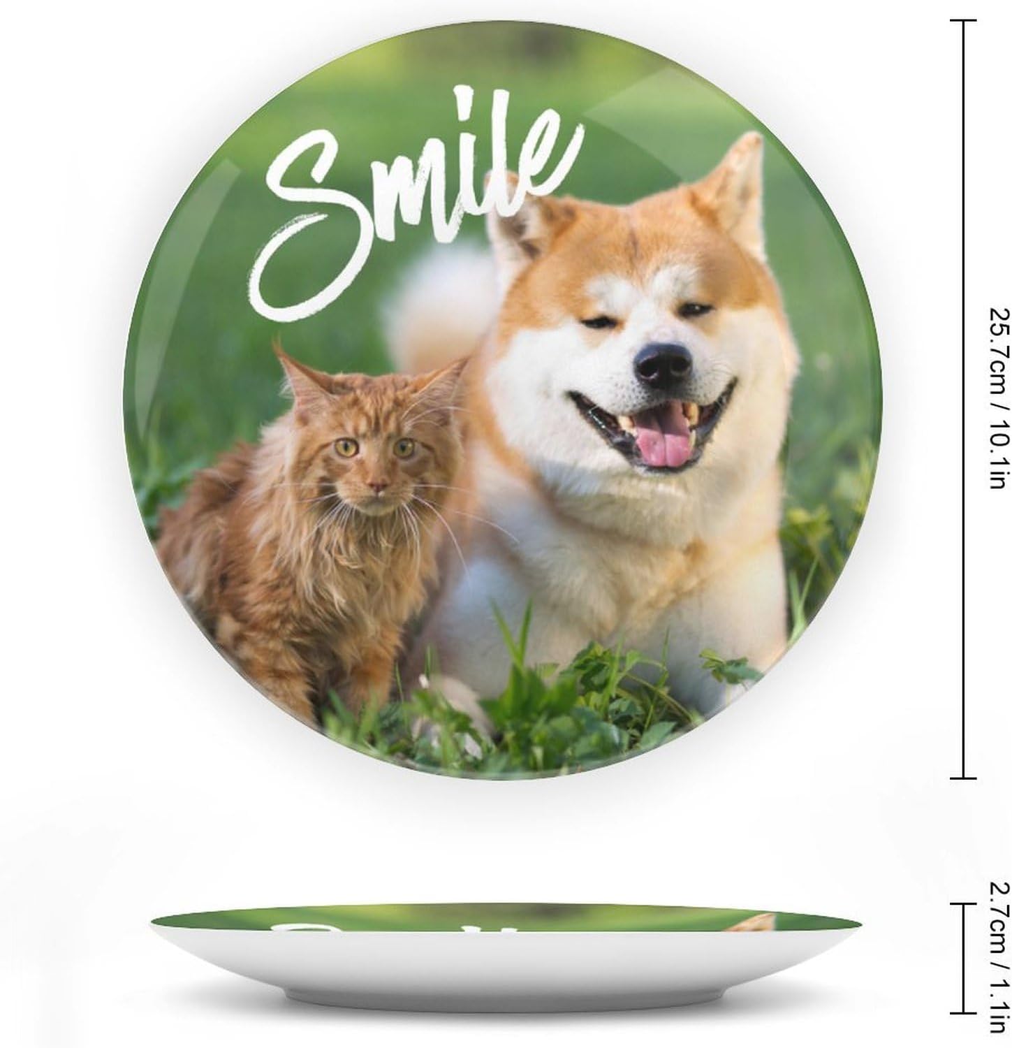 Custom Photo Decorative Plates with Picture Image Text, Personalized Ceramic Dishes with Display Stand Customized Porcelain Dinner Plate Memorial Gifts for Couple, 10 Inch