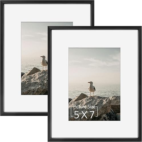 Mat Board Center - Marco de fotos de aluminio de 8 x 10 pulgadas, pantalla de 5 x 7 pulgadas con paspartú y 8 x 10 pulgadas sin paspartú, horizontal
