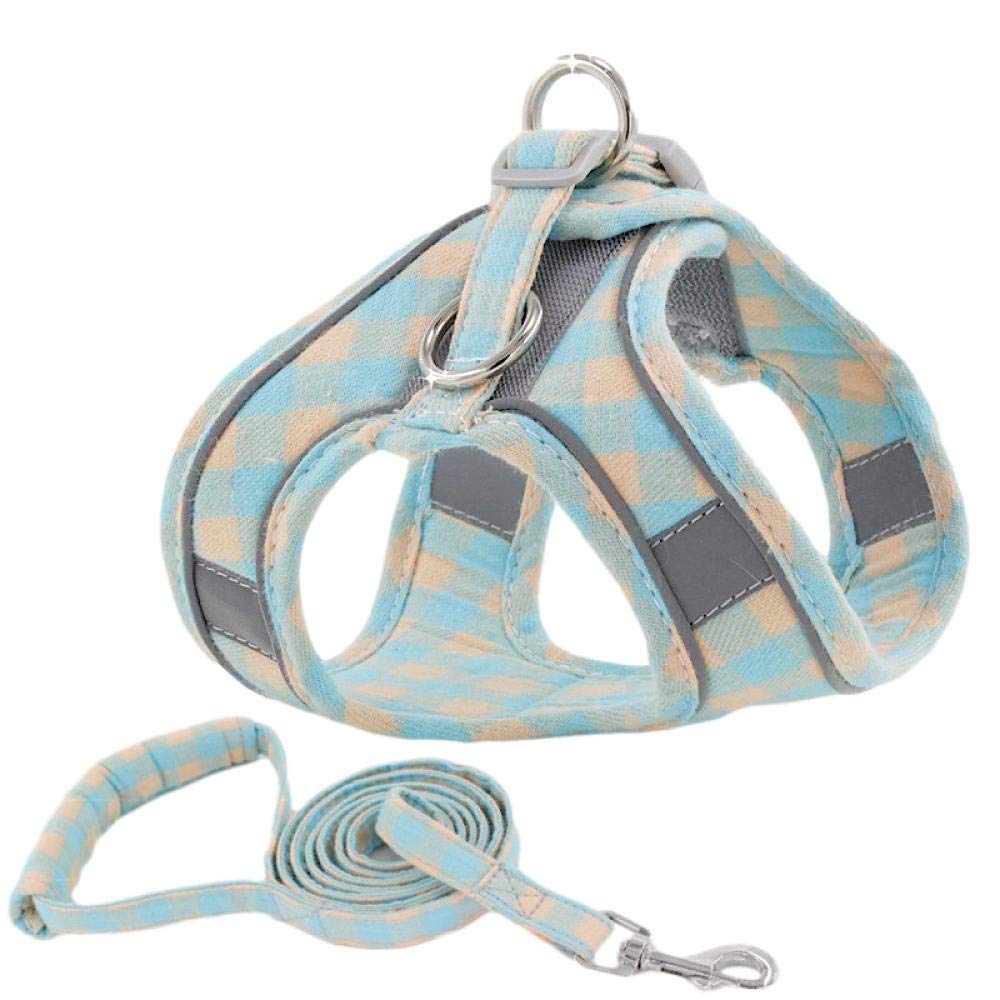 Chaleco Azul con Correa Ajustable para Cachorros y Gatos, Juego de Correa para pasear, arneses, Collar para Perros pequeños, Talla XXL, transportín para Perros (S)