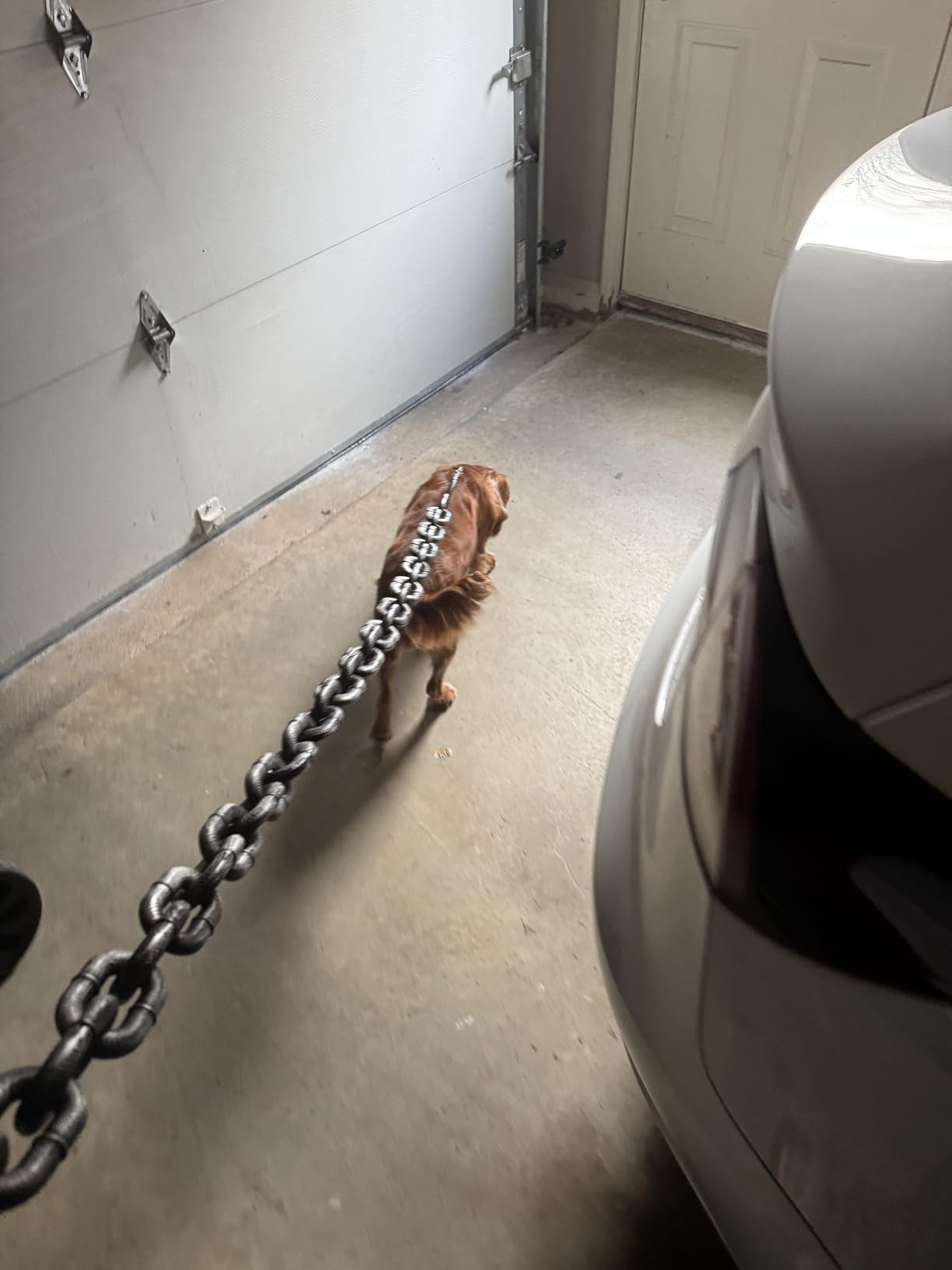 6 Ft Funny Dog Leash Giant Black Chain
