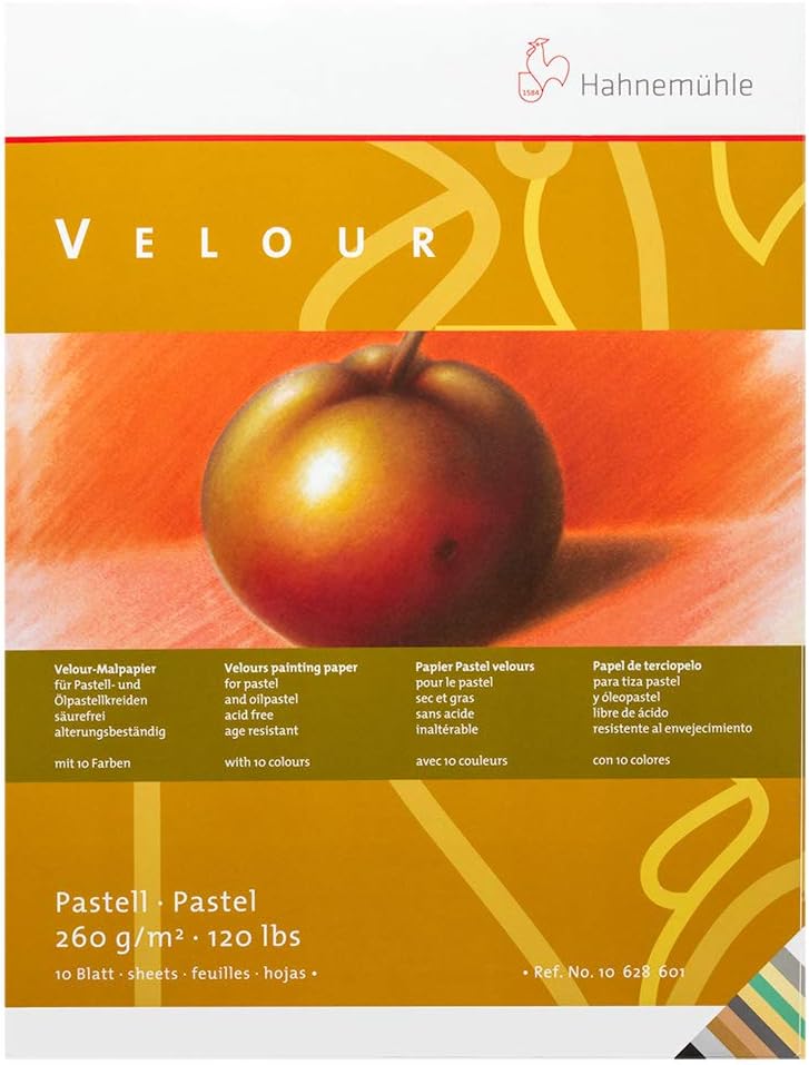 Hahnemuhle Pastel Velour Pad 14X19 Inches