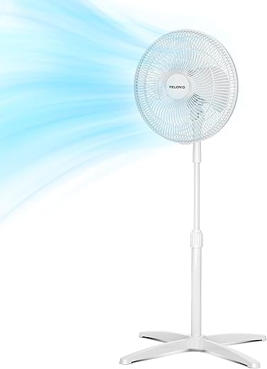 Pedestal Fans