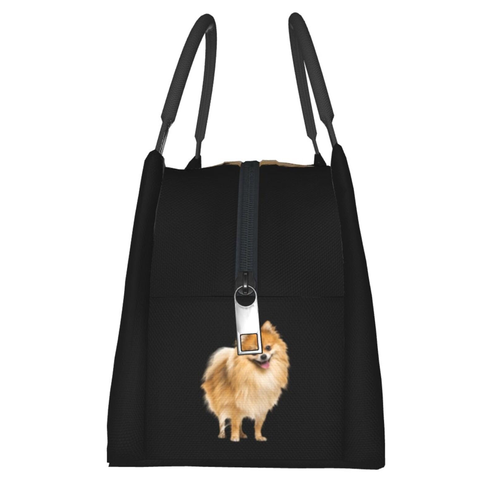 Amazon｜ポメラニアン 犬柄 エコバッグ 折りたたみ 保冷保温 ランチ
