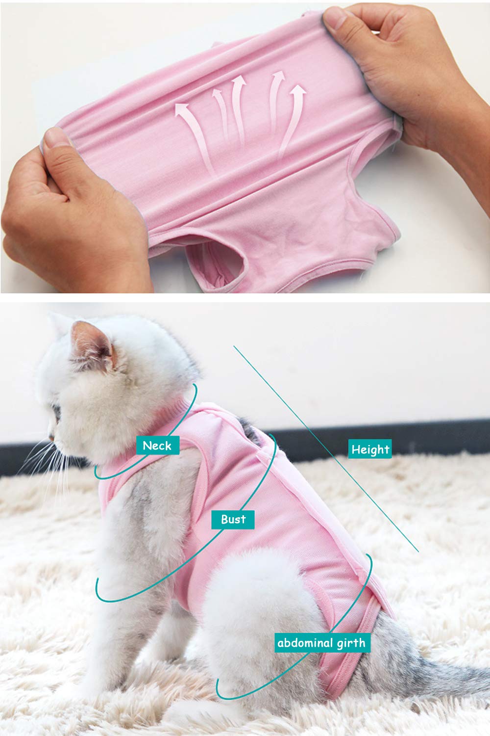 Traje de recuperación Profesional para Gatos, Gata Camiseta de recuperación, heridas Abdominales Profesional para heridas, de recuperación quirúrgica Ropa Chaleco de pequeños Gatos (M, Rosado)