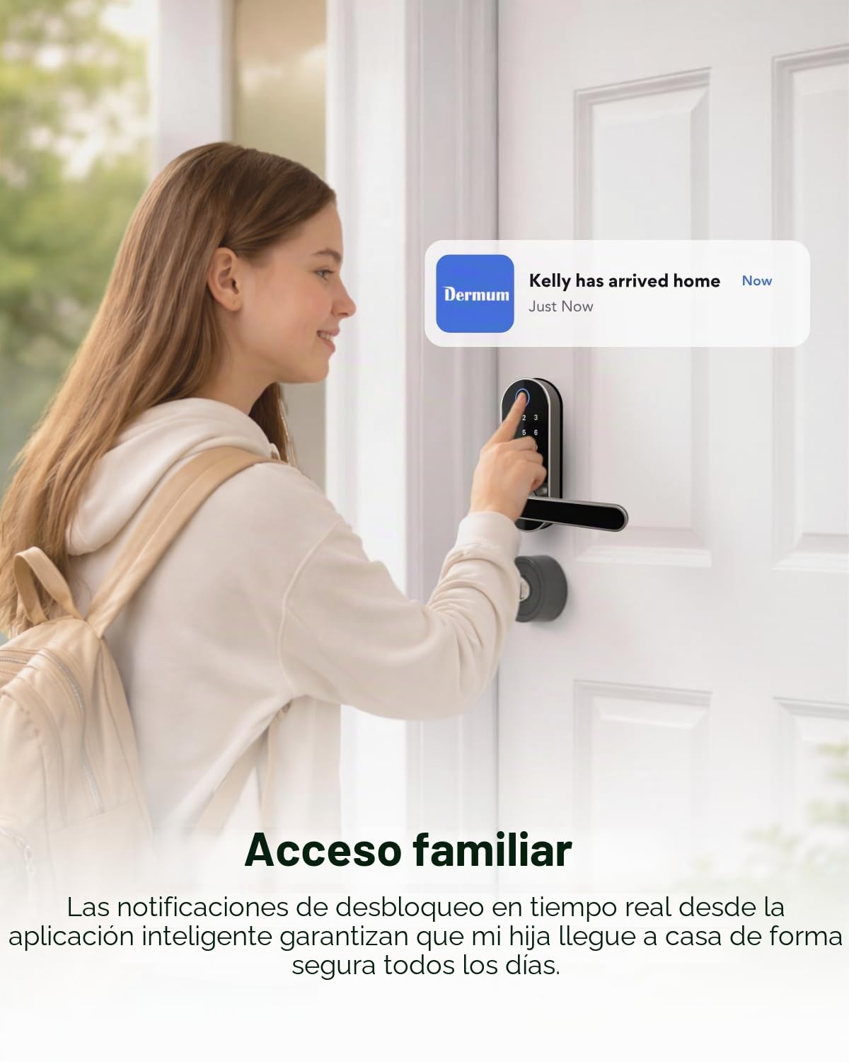 Cerradura inteligente digital de entrada sin llave con mango y teclado: cerradura electrónica/eléctrica con código, control de aplicación, perilla biométrica para puerta delantera, interior, exterior