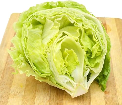 Miniatura 2 de Gaea's Blessing Semillas - Semillas de lechuga (2000 semillas) Semillas iceberg batavian sin OMG con instrucciones de plantación fáciles de seguir -