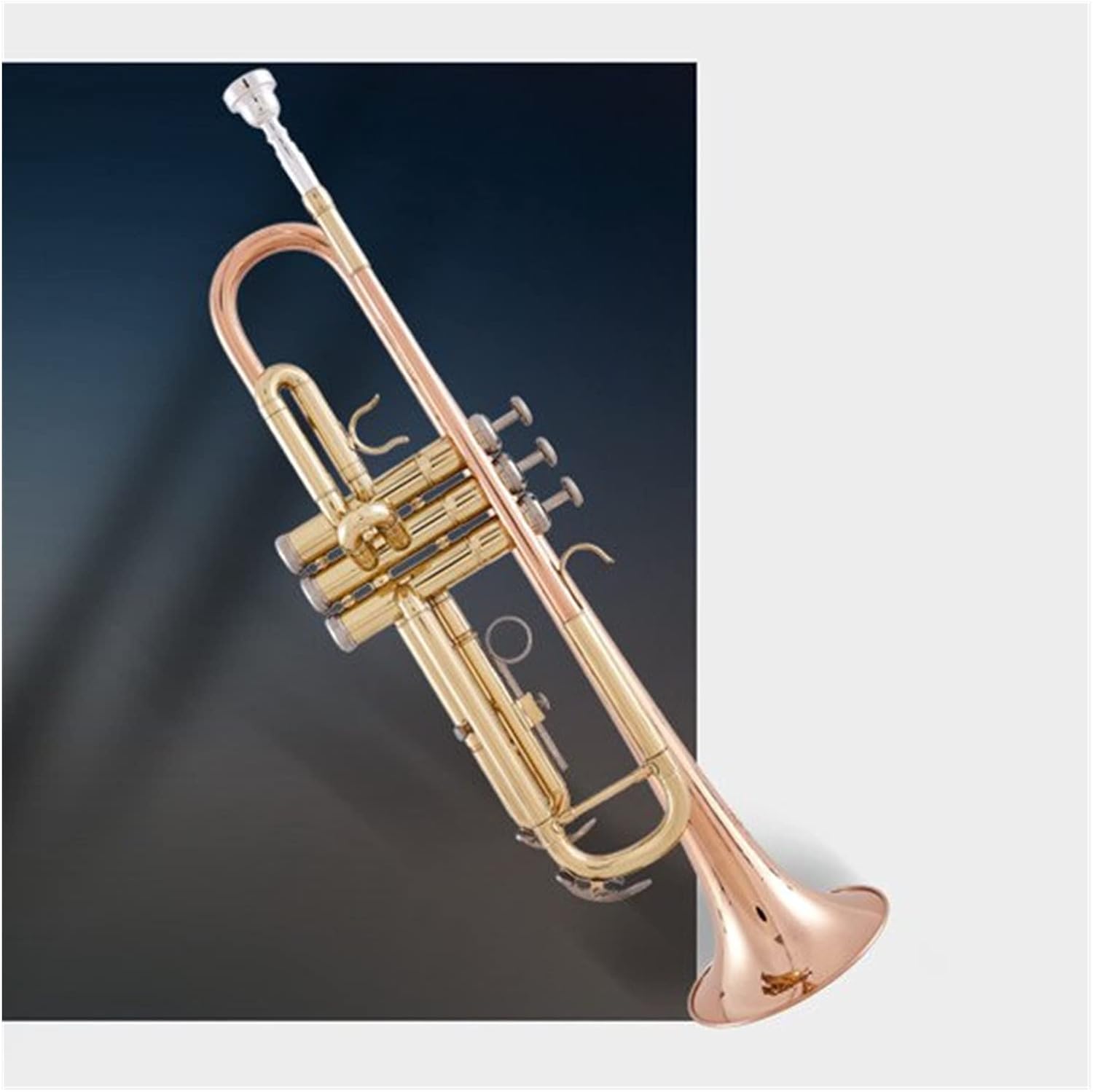 買い誠実 Pecy B平トランペット リン青銅トランペット リン青銅ベルマウス 真鍮管胴トランペット 2色トランペット トランペット Therapeuticapillows Ca 買い誠実 Pecy B平トランペット リン青銅トランペット リン青銅ベルマウス 真鍮管胴トランペット 2色トランペット トランペット Therapeuticapillows Ca