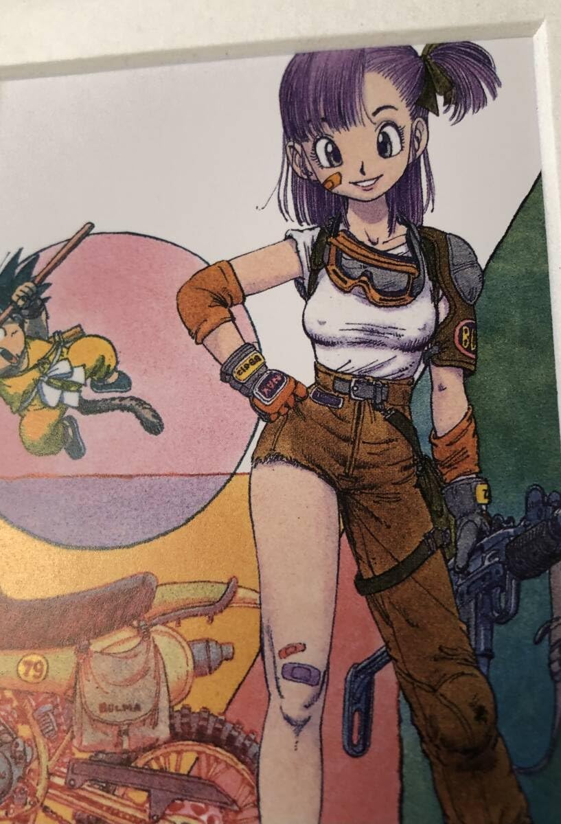 ドラゴンボールブルマセル画 鳥山明 【クリリンから胸をあらわにされる