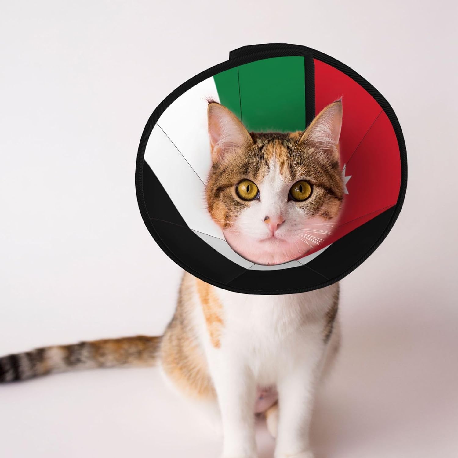 Custom Pet Cones - Unique Design Cat & Dog Cone, Collar for Post-Surgery Recovery, Adjustable Neck Jordanian Flag Small