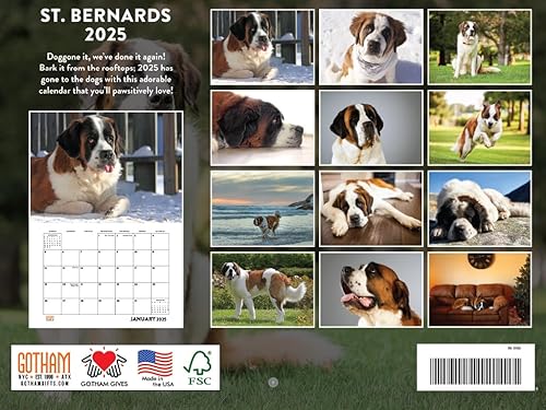 Vista 120 de Calendario Goldendoodle 2026 Golden Doodle mensual de pared calendario de 12 meses Fabricado en Estados Unidos