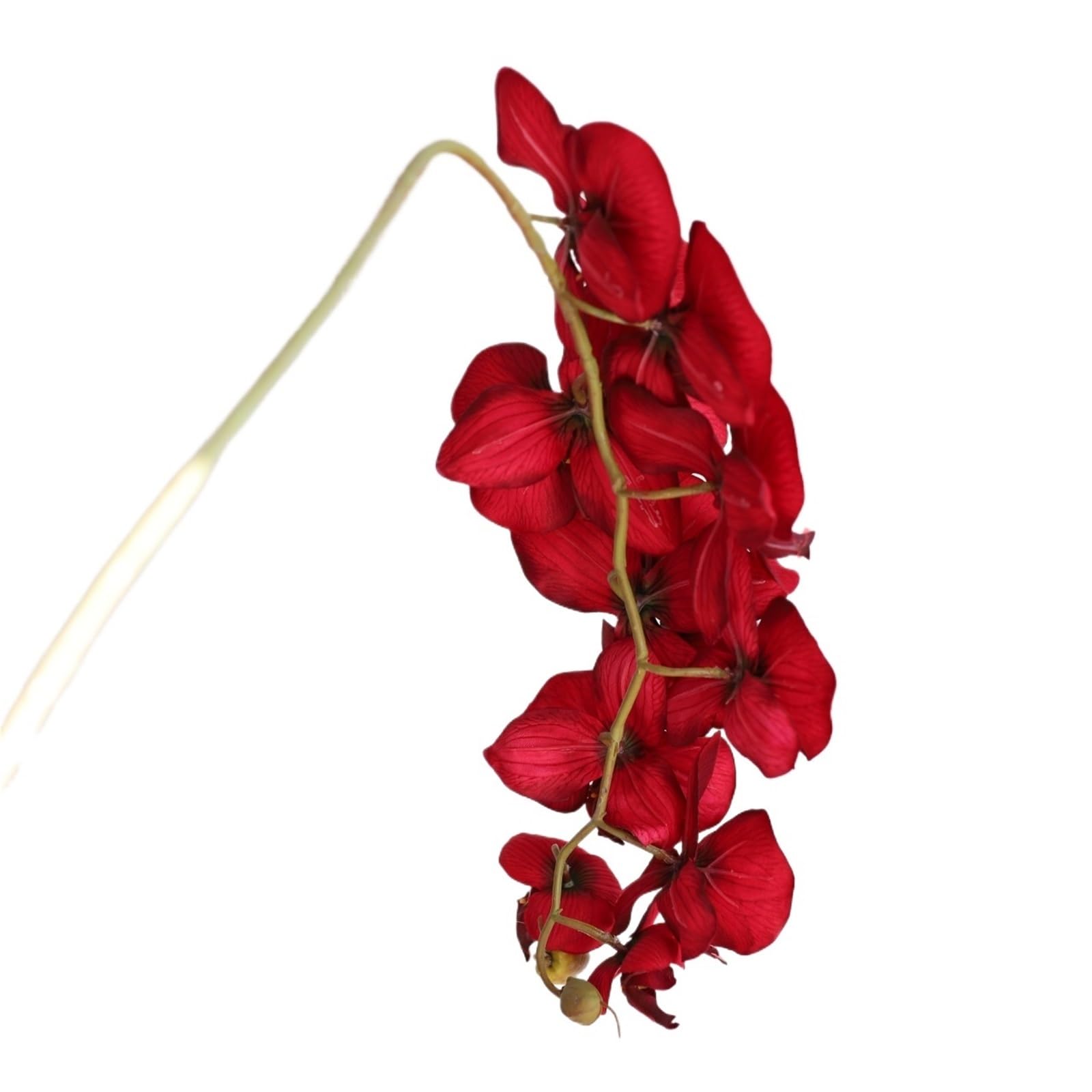 LSYHHXC Artificial Orchid 36.6" Dark Red Fake Orchids 10heads, Artificial Phalaenopsis Orchid Stem, DIY Office Wedding Home Decoration