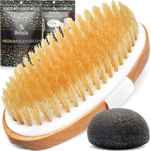 Image of Dry Brushing Body Brush - Medium Soft Dry Brush for Cellulite and Lymphatic. For Beginners & Advanced Users. Exfoliating Skin Brush and Free Konjac Sponge, for a Softer, Glowing Skin