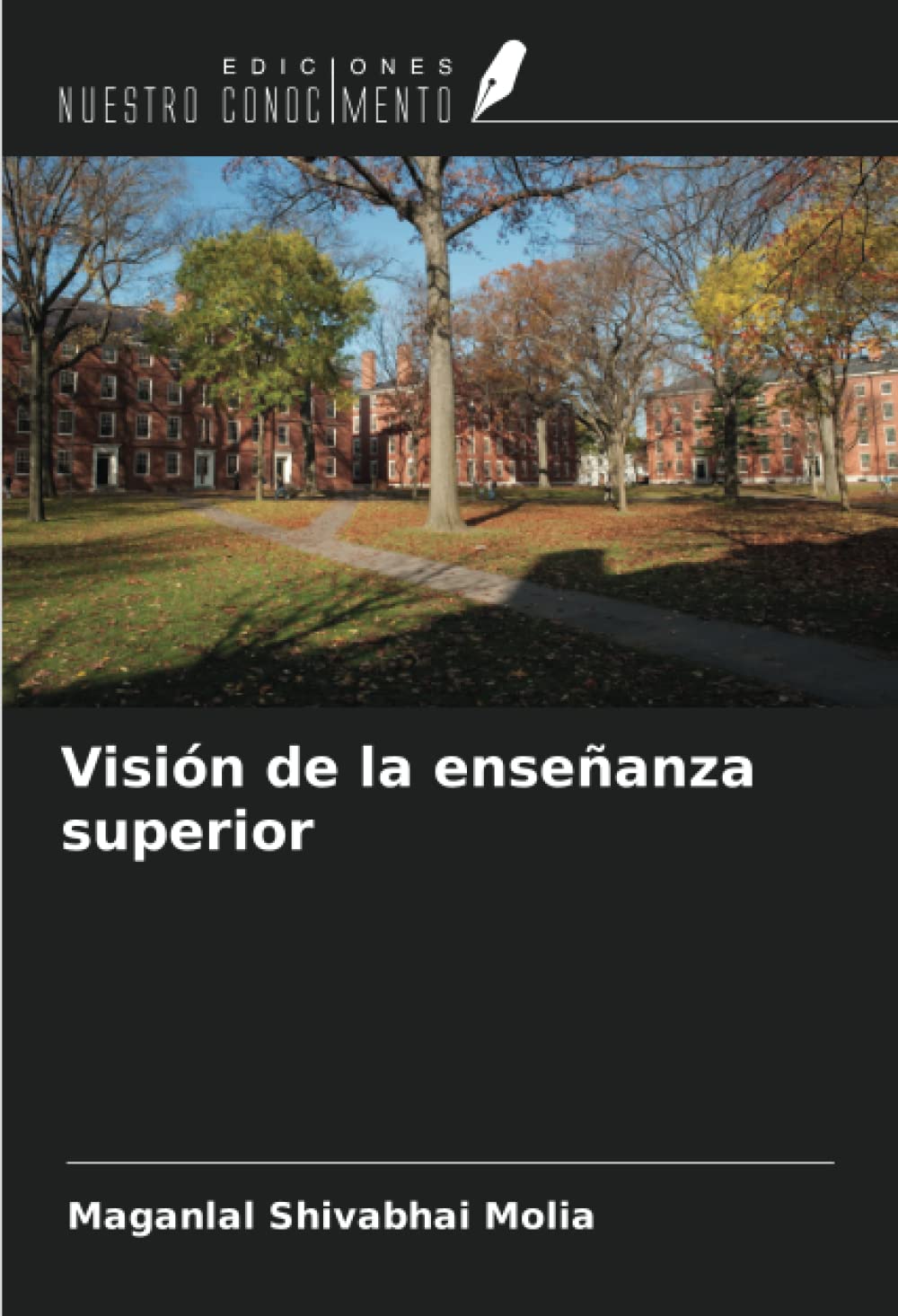 Visión de la enseñanza superior (Spanish Edition)