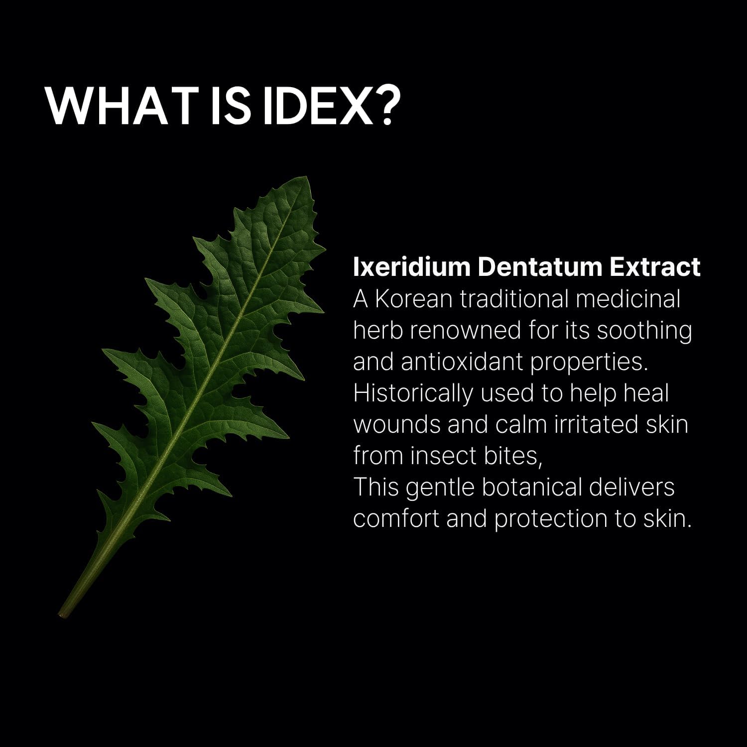 IDEX Calming Toner – Ultra-Light Watery Toner for Sensitive Skin, Daily Hydration & Soothing Relief with Ixeridium Dentatum Extract, Fragrance-Free (150ml / 5.07 fl.oz)