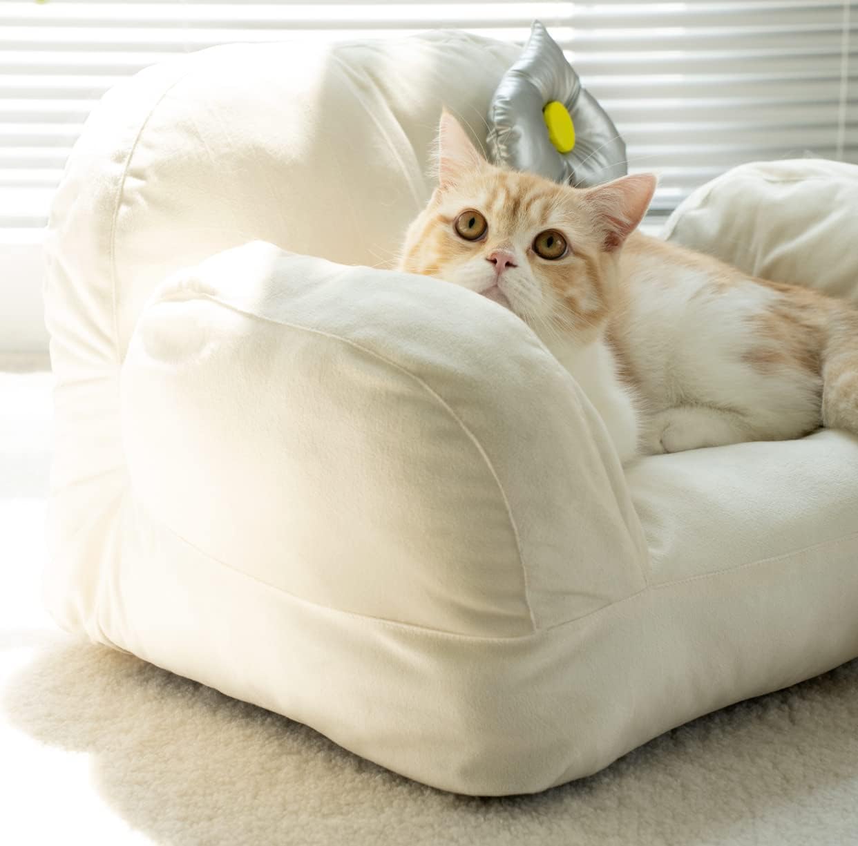 SEEGEENEEY Pet Dog Cat Sofa Bed for Cats Pet Bed Indoor Sleeping Nest Washable Design Sofa for Cats Dog Sofa Cat Bed (Beige,M) : Pet Supplies