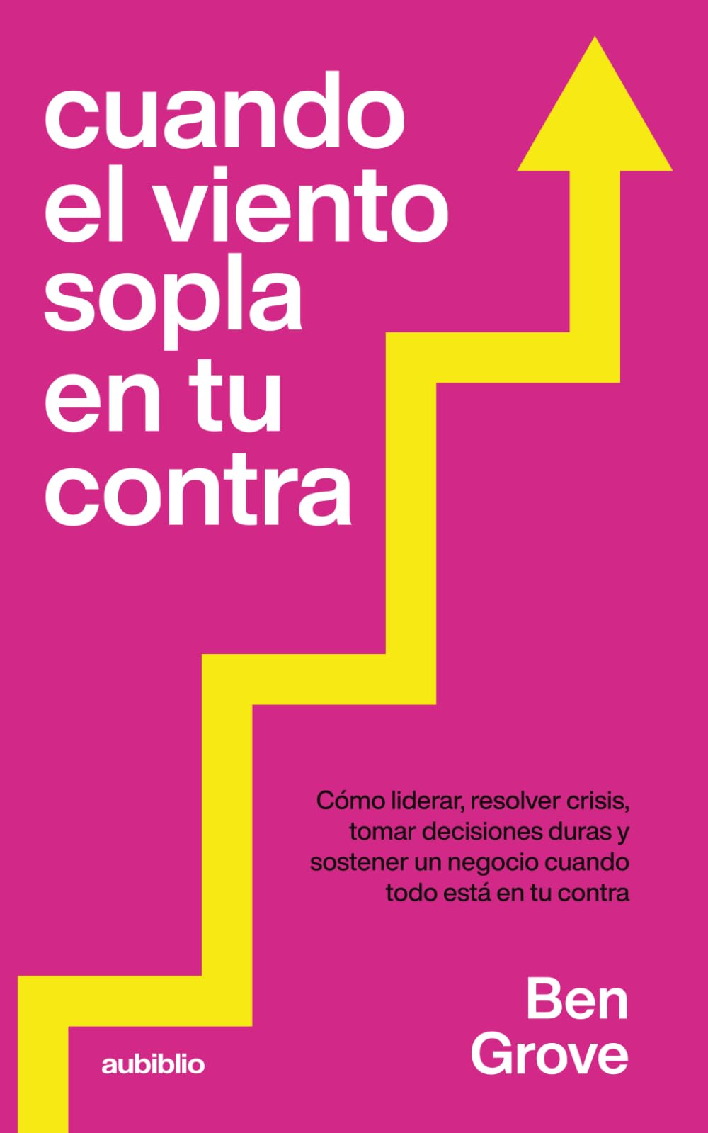 Cuando el viento sopla en tu contra: Cómo liderar, resolver crisis, tomar decisiones duras y sostener un negocio cuando todo está en tu contra ... empresa en condiciones reales, no ideales)