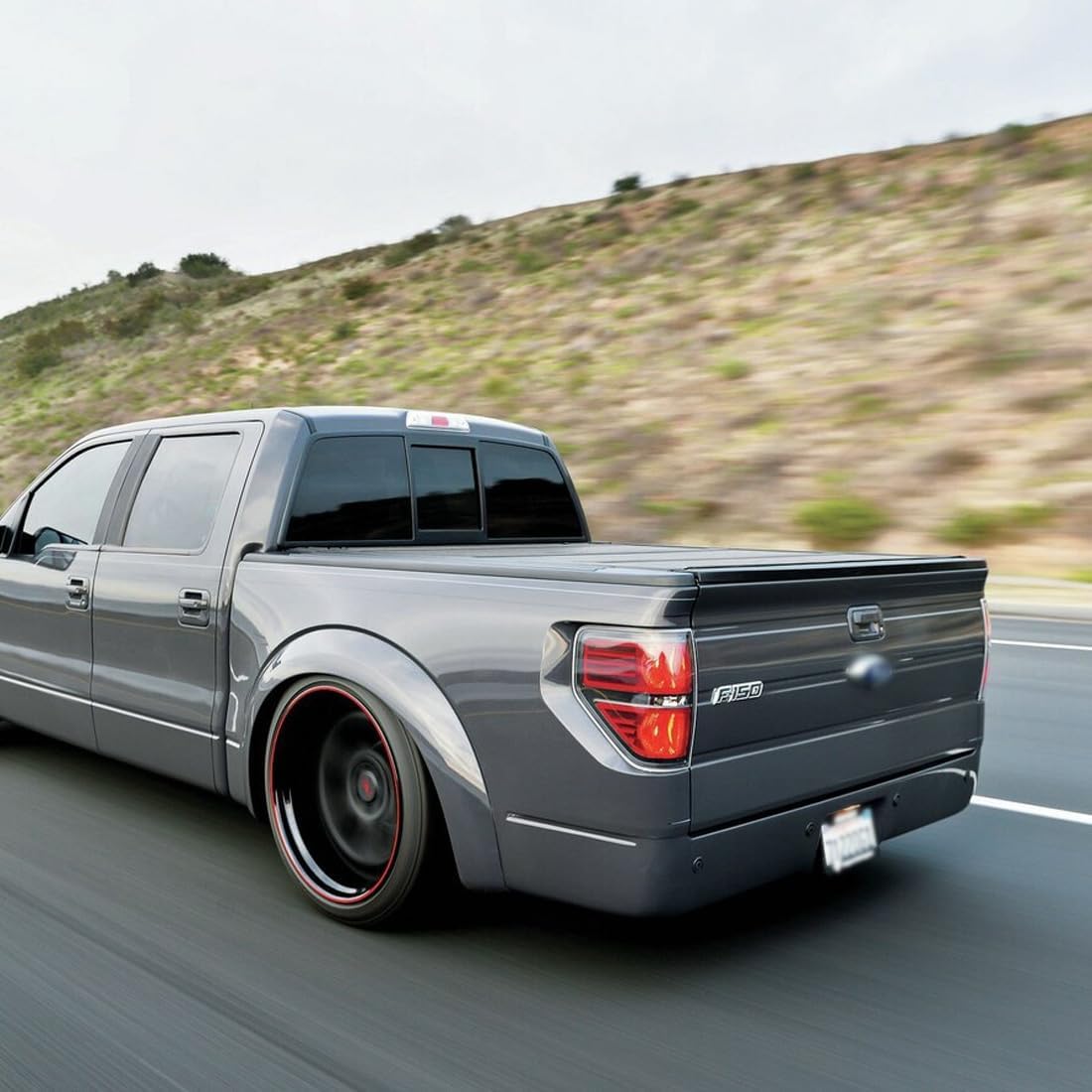 Rear Tail Lights Brake Lamps Red Lens w/o Bulbs Fit for 2009-2014 Ford F150 F-150 (L - Driver Side)
