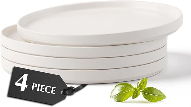 MIAMIO Ceramic Dinner Plates Set for 4 People/Ceramic Dinnerware 4-Piece, Modern Stoneware, Dishwasher & Microwave Safe Luxe Collection White, 10 Inch