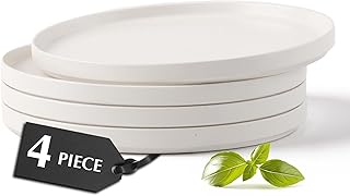 MIAMIO – Dinner Plates Set of 4 Ceramic Dishwasher & Microwave Safe 10 Inch – Luxe Collection